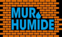 Mur Humide