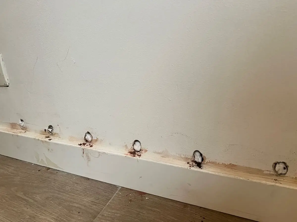 Mur humide avant traitement des remontées capillaires