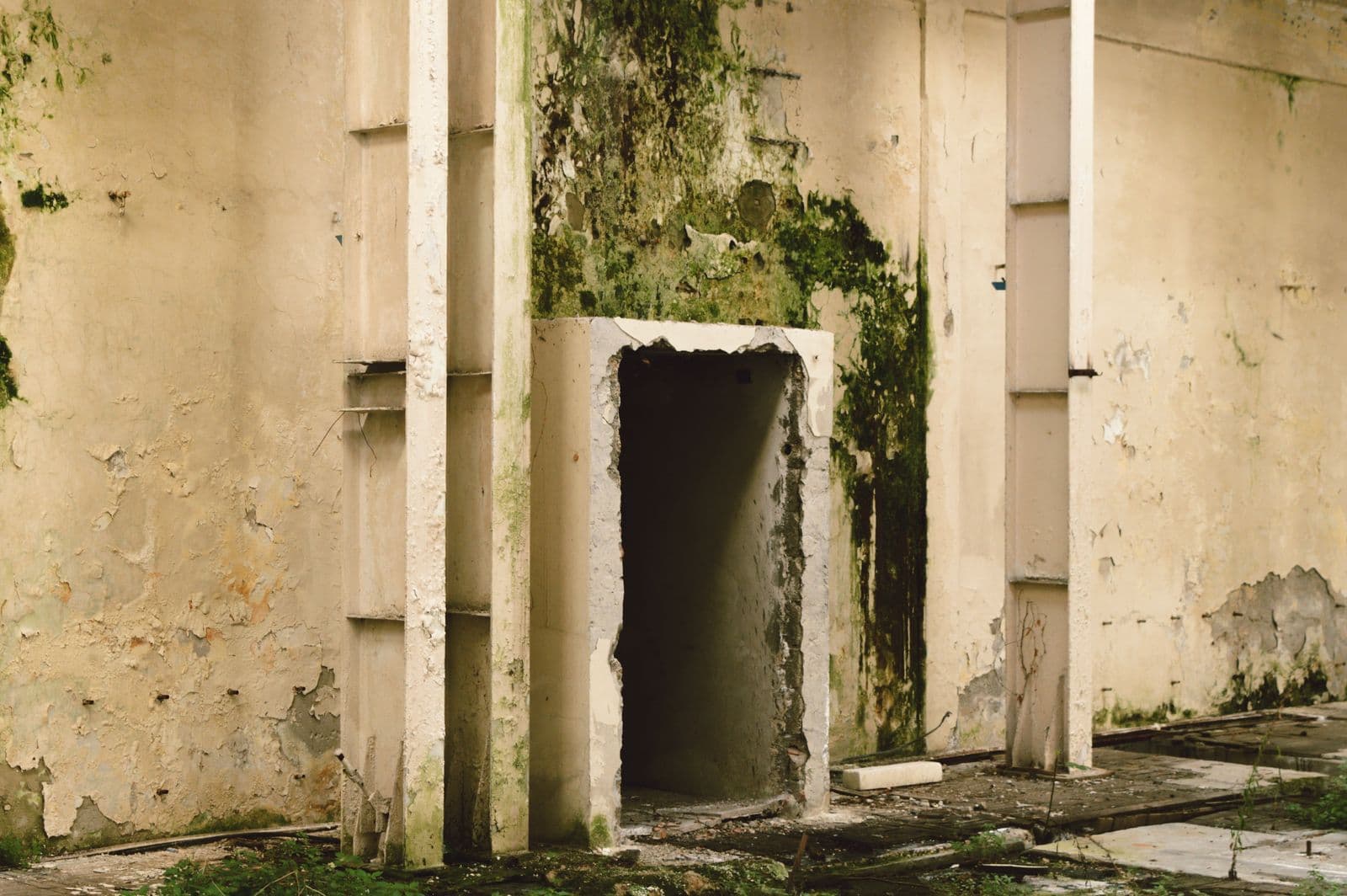 Mur intérieur ancien dégradé par l’humidité